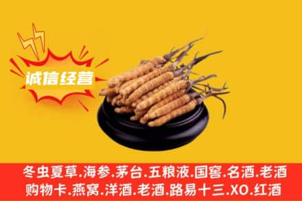 烟台福山区回收冬虫夏草